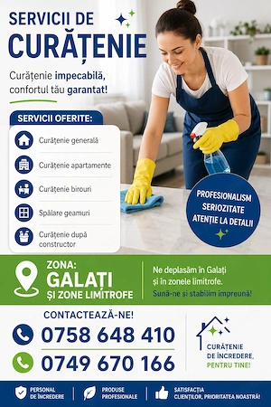 Servicii de curatenie 
