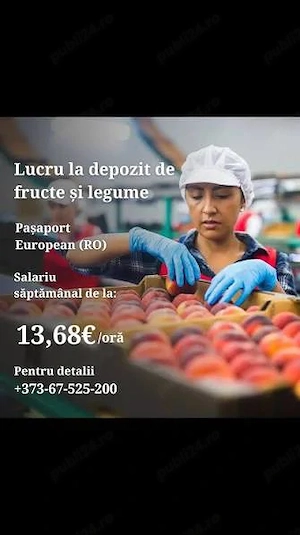 Angajăm.imediat cupluri serioase 