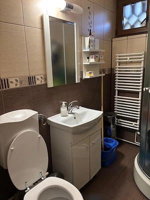Vand in 7 Noiembrie apt. 2 camere,parter, acces stradal,pt.cabinet, sp.comercial - imagine 4