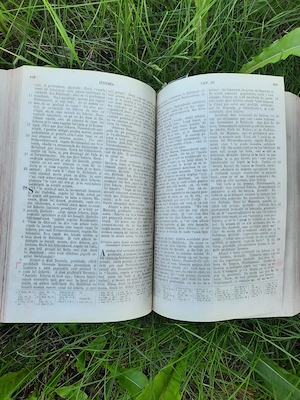     BIBLIA de la Iași, sau traducerea lui  Nitzulescu - imagine 3
