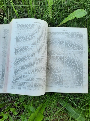     Biblia de la Iași, ( sau Nitzulescu), 1874 - imagine 5