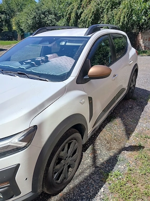 Stepway Sandero Extreme ecog100 