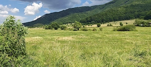 Teren intravilan - padure de agrement - in Brasov.