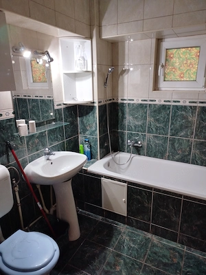 Inchiriez apartament doua camere Ansamblul Buzaului - imagine 9