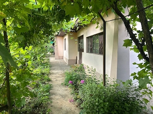 Casa bătrânească de vânzare  - imagine 3