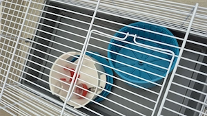 Cusca   Colivie hamster   rozatoare, marca ZOE, Italia - imagine 3