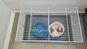 Cusca   Colivie hamster   rozatoare, marca ZOE, Italia