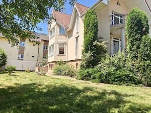 inchiriez casa mare in Tudor ,Targu Mures pretabila pentru firme, birouri, locuit etc. - imagine 3