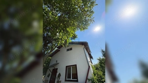 Casa/Vilă Gageni Structura Lemn - imagine 4