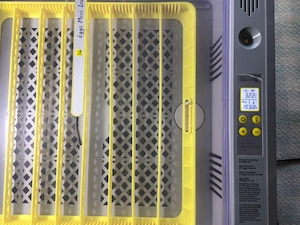 Incubator oua, clocitoare electrica, capacitate 36 oua, digital cu intoarcere automata a oulelor - imagine 2