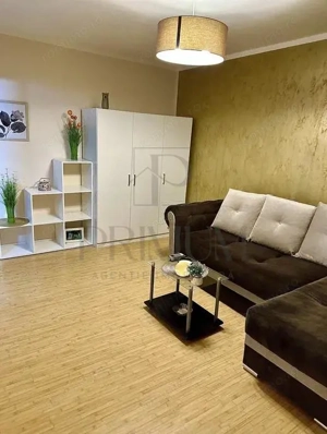 LIPOVEI - APARTAMENT 1 CAMERA - mobilat, utilat, renovat complet