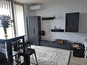 Apartament in Isho zona Take Ionescu - imagine 4