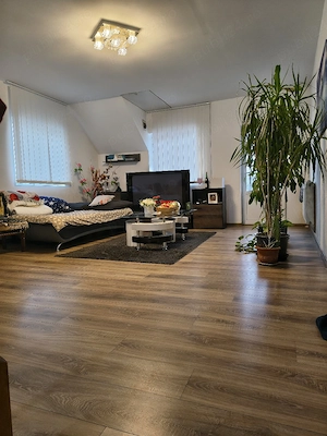 Proprietar Casă individuală 6 camere  P+M 160 m +teren 390 m - imagine 4