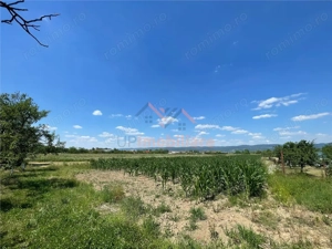 CASA LA TARA | 6770MP TEREN | JOSANI | BIHOR | - imagine 16