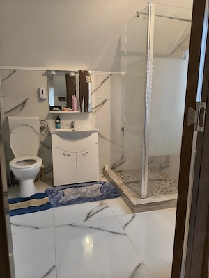 Proprietar Casă individuală 6 camere  P+M 160 m +teren 390 m - imagine 6
