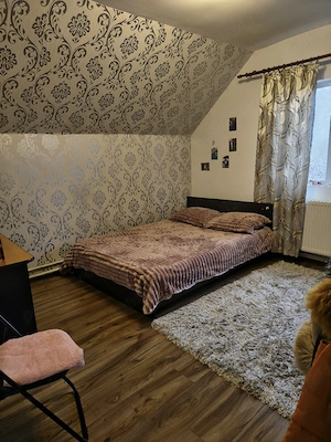 Proprietar Casă individuală 6 camere  P+M 160 m +teren 390 m - imagine 10