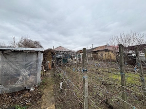 vand casa + teren agricol sa Ceptura de Sus - imagine 3