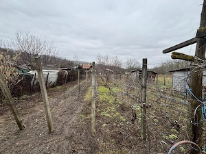vand casa + teren agricol sa Ceptura de Sus - imagine 4