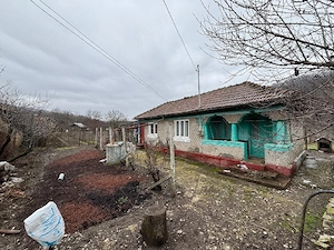 vand casa + teren agricol sa Ceptura de Sus