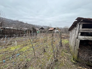 vand casa + teren agricol sa Ceptura de Sus - imagine 5