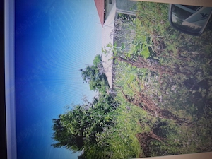 Teren Intravilan 488mp,Front 28m-Cernica,Sat Posta Preț 28.000 euro  - imagine 2