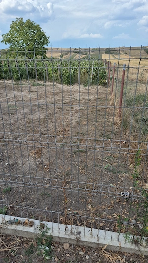 Teren intravilan Pielești, 861mp - imagine 9
