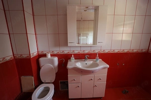 Casa de inchiriat in Clinceni-sat Olteni - imagine 4