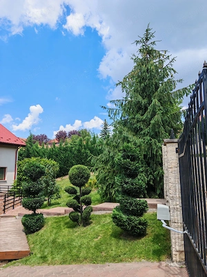 Vând casă individuală în Europa, 850 mp teren cu grădină matură, 2 garaje & 2 pivnițe, 890.000   - imagine 3