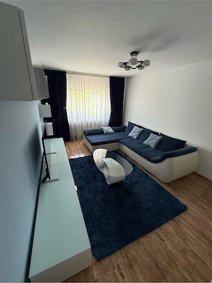 Proprietar - vând apartament 2 camere, decomandat, Calea Lipovei - imagine 2