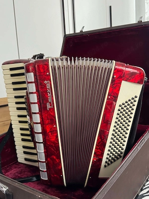 Acordeon Parrot de 96 basi