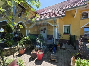 PROPRIETATE PREMIUM CU 4.534 MP TEREN- REGHIN STRADA POMETULUI - imagine 7