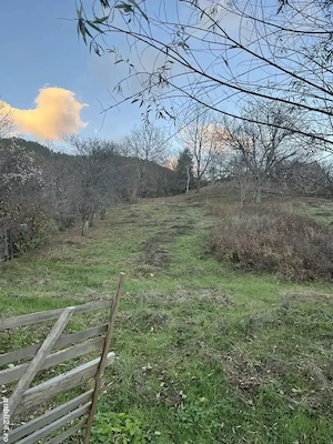 Vând teren la munte aproape de lepsa