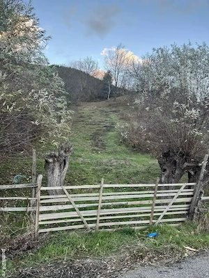 Vând teren la munte aproape de lepsa - imagine 2