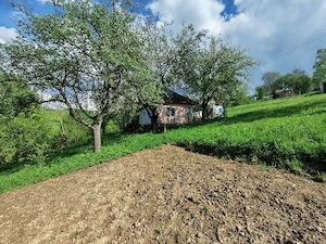 Casa la munte cu teren 