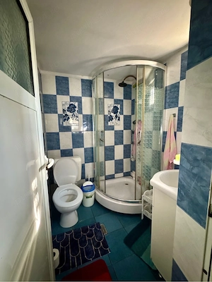 Casa de vanzare in stefanesti arges  - imagine 4