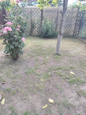 Vând casă cu teren 2500m2 in Domnești,Ilfov - imagine 12