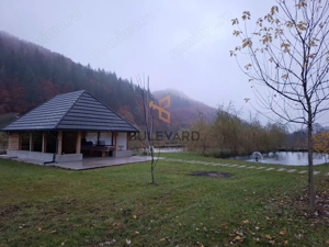 Proprietate cu potențial turistic în zona montană a Țării Lăpușului - imagine 3