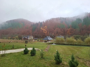 Proprietate cu potențial turistic în zona montană a Țării Lăpușului - imagine 8
