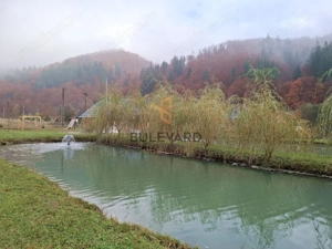 Proprietate cu potențial turistic în zona montană a Țării Lăpușului - imagine 4