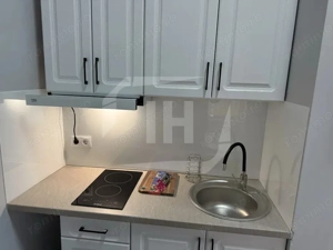 Apartament 2 camere, zona Centrala, pet friendly - imagine 5
