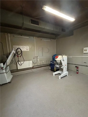 Spatiu comercial tip hala productie sau depozit - Mehala - imagine 3