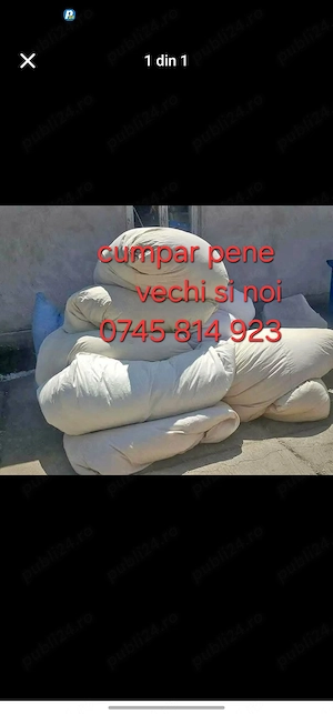 Pene vechi 