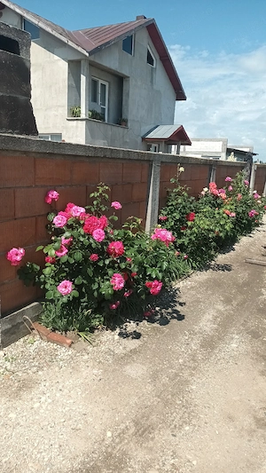 De vânzare