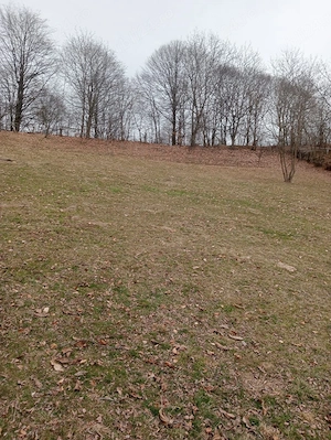 Teren intravilan 3.400 mp, deschidere 50 m, sursă de apă   Tănăsești, Horezu - imagine 4