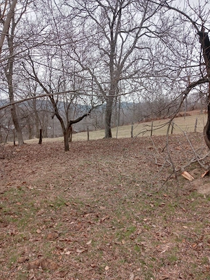 Teren intravilan 3.400 mp, deschidere 50 m, sursă de apă   Tănăsești, Horezu - imagine 5