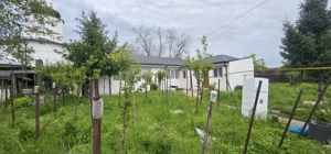 Casa din caramida – Zona Centrala, Parc CFR – Pret 170.000 EUR - imagine 16