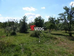 Teren intravilan | 2.810 mp|18ml|Zona Fratelia| - imagine 8