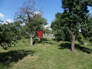 Teren intravilan | 2.810 mp|18ml|Zona Fratelia| - imagine 15