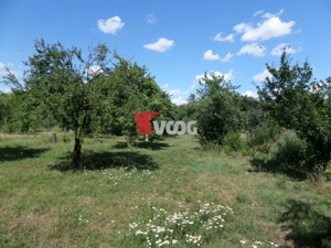 Teren intravilan | 2.810 mp|18ml|Zona Fratelia| - imagine 4
