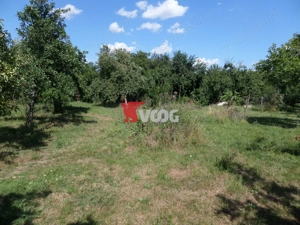 Teren intravilan | 2.810 mp|18ml|Zona Fratelia| - imagine 6